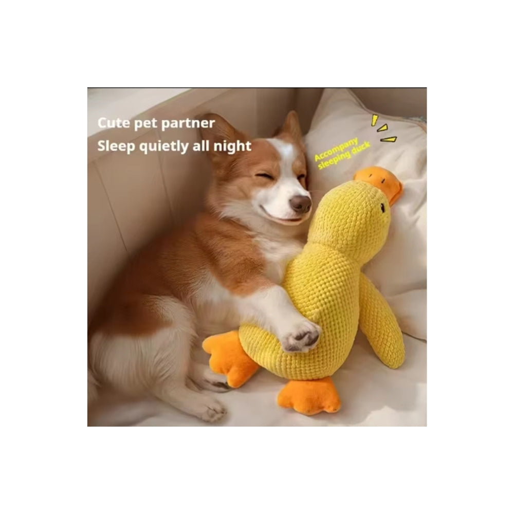 💛 Papero Giallo per Cani - Il Compagno Inseparabile