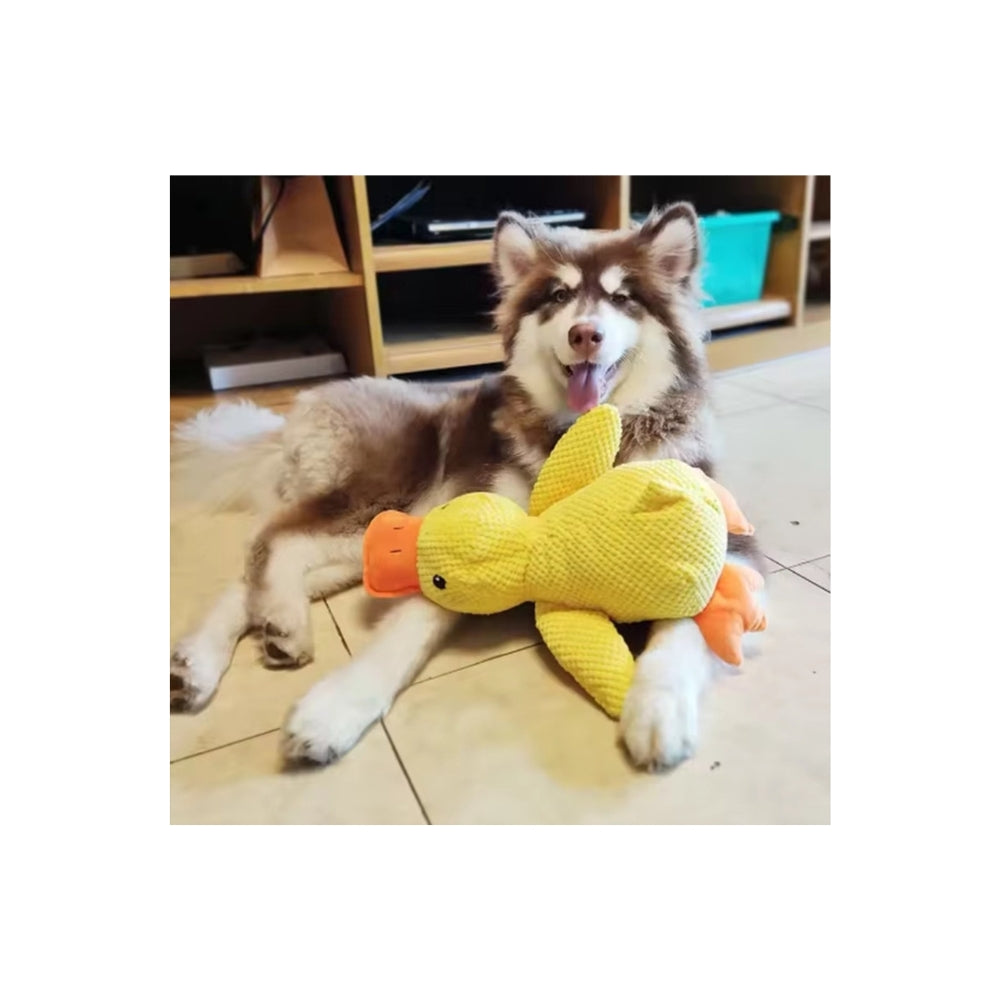 💛 Papero Giallo per Cani - Il Compagno Inseparabile