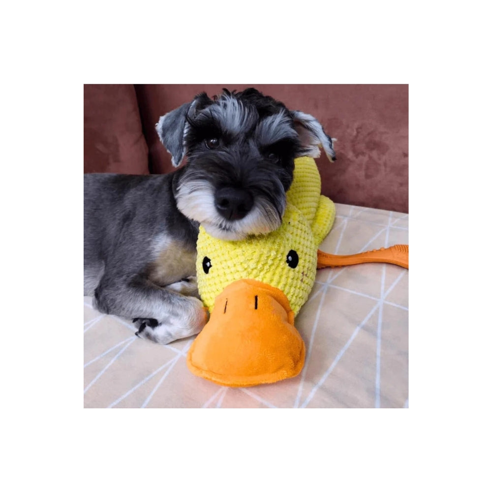 💛 Papero Giallo per Cani - Il Compagno Inseparabile