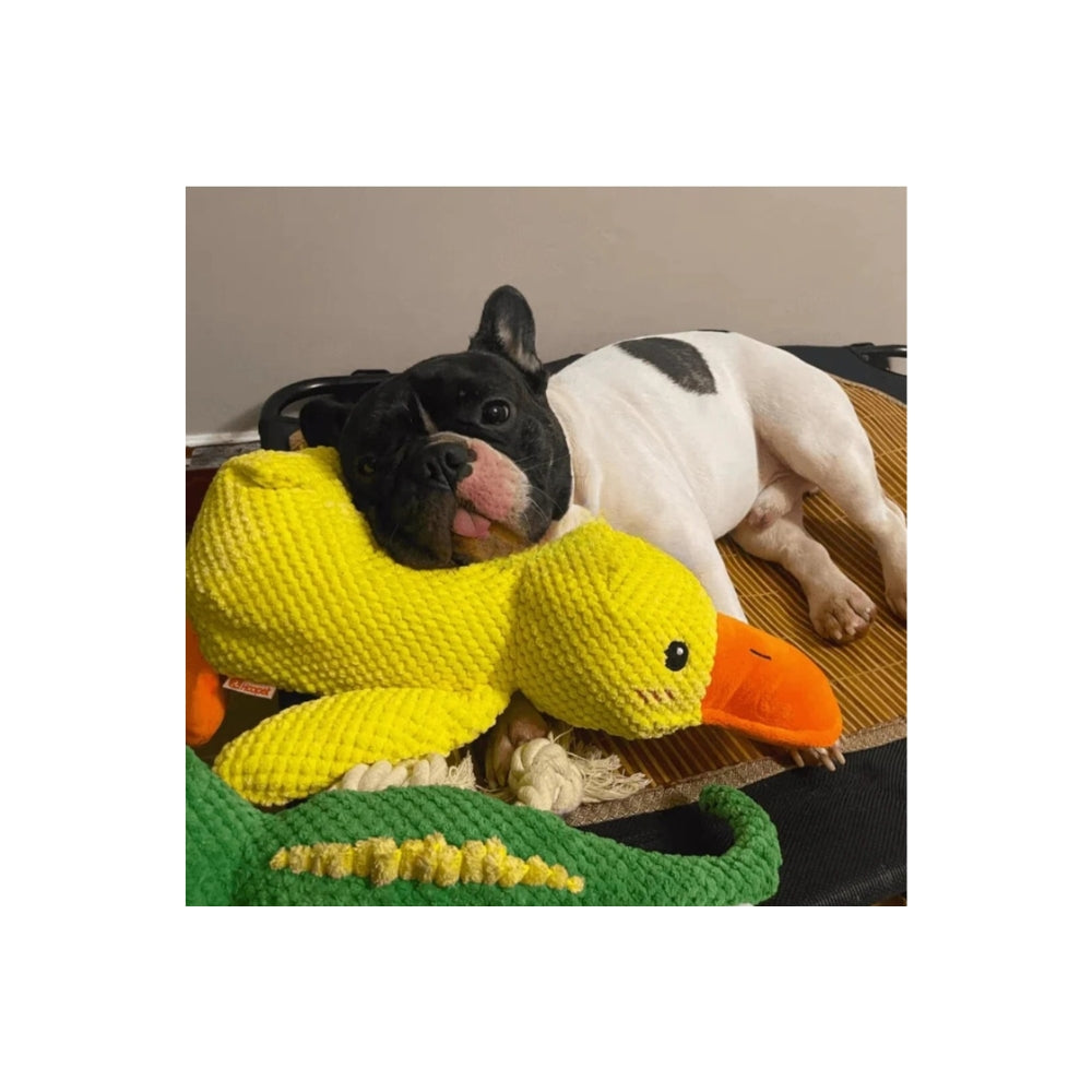 💛 Papero Giallo per Cani - Il Compagno Inseparabile